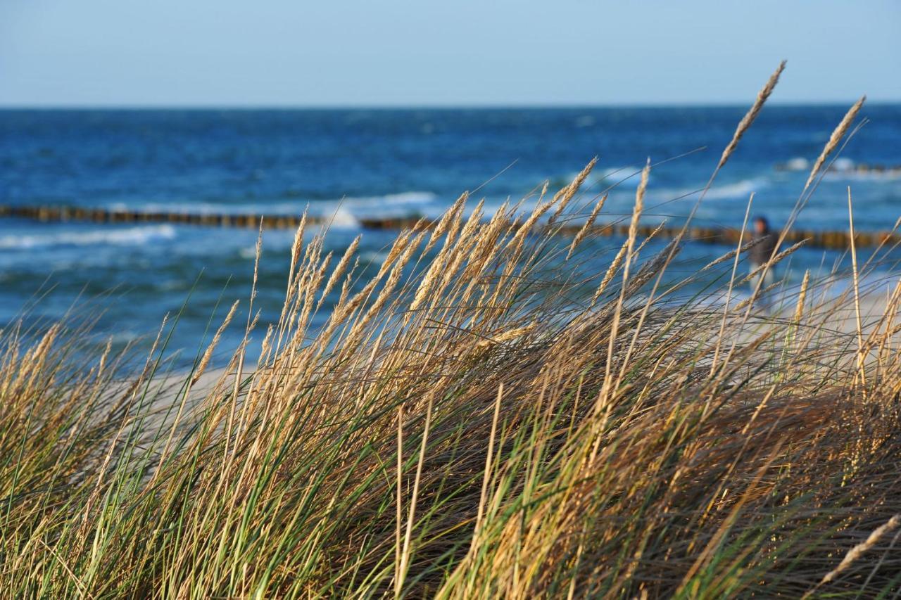 Seestr_54 Nr_304 Zingst Exteriér fotografie