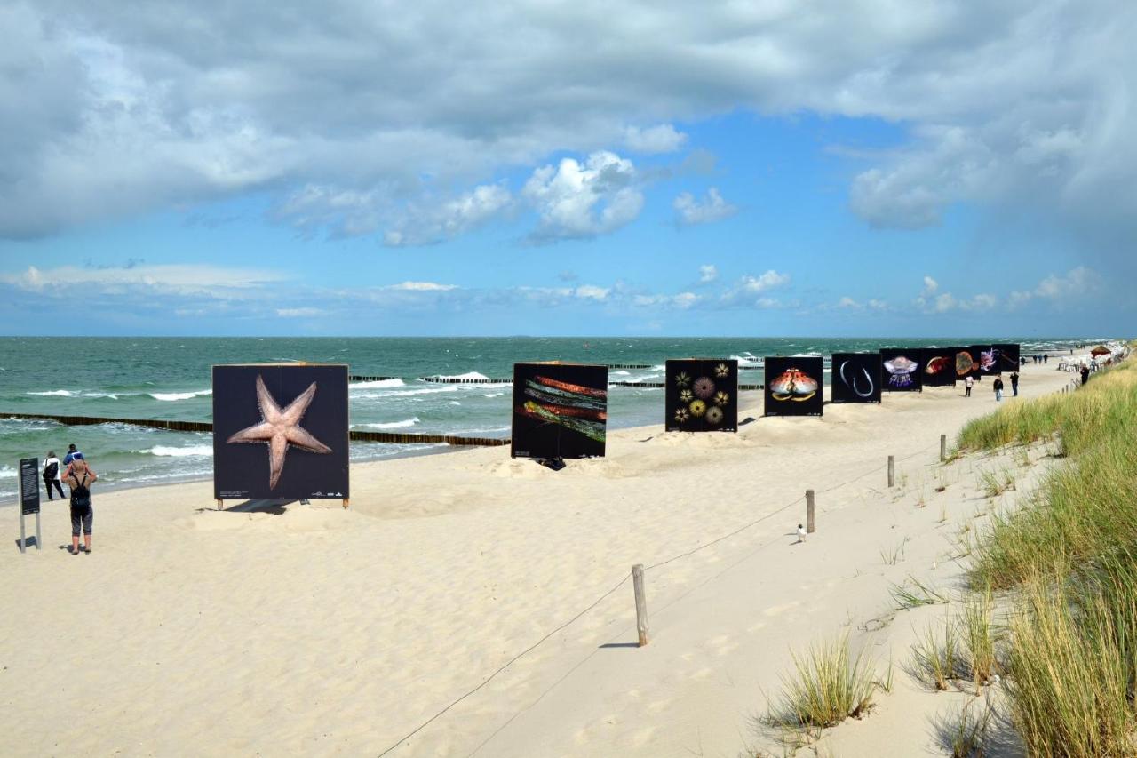 Seestr_54 Nr_304 Zingst Exteriér fotografie