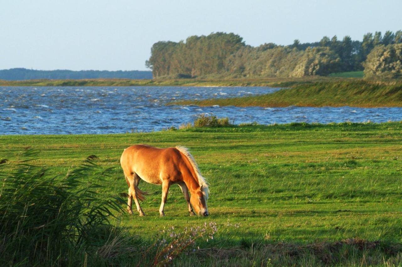 Seestr_54 Nr_304 Zingst Exteriér fotografie